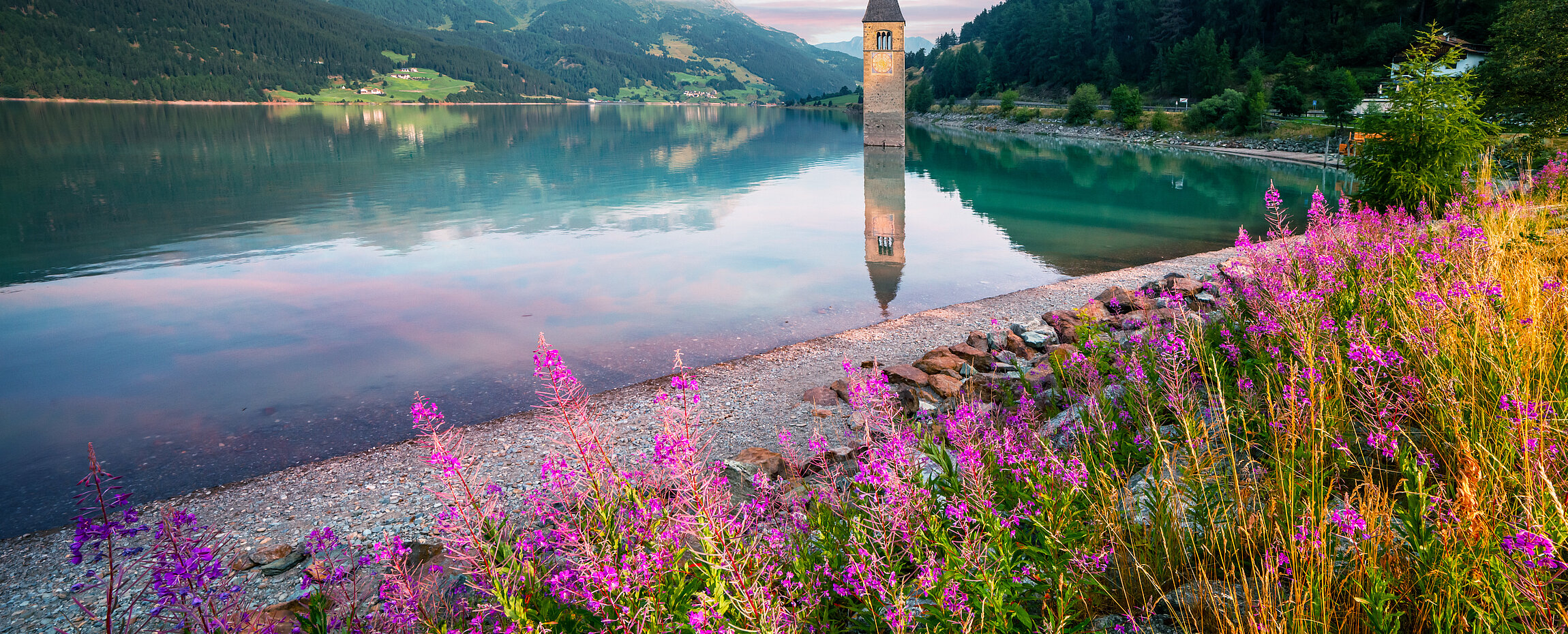 versunkener Turm im Reschensee und lila Blumenwiese