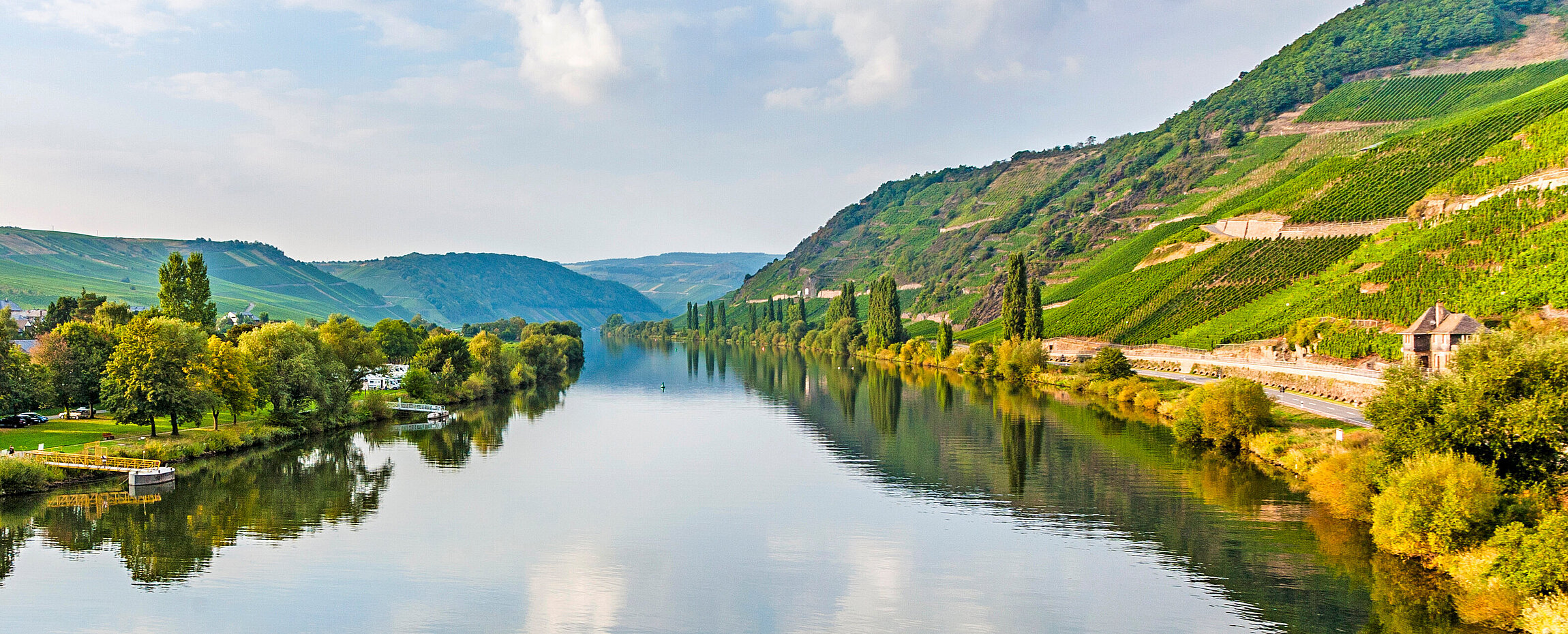 Trittenheim an der Mosel