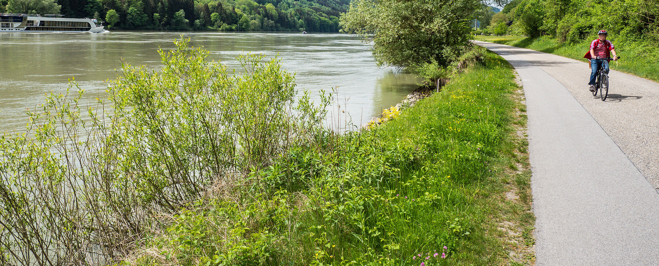 eine Radlerin auf dem Radweg neben der deutschen Donau