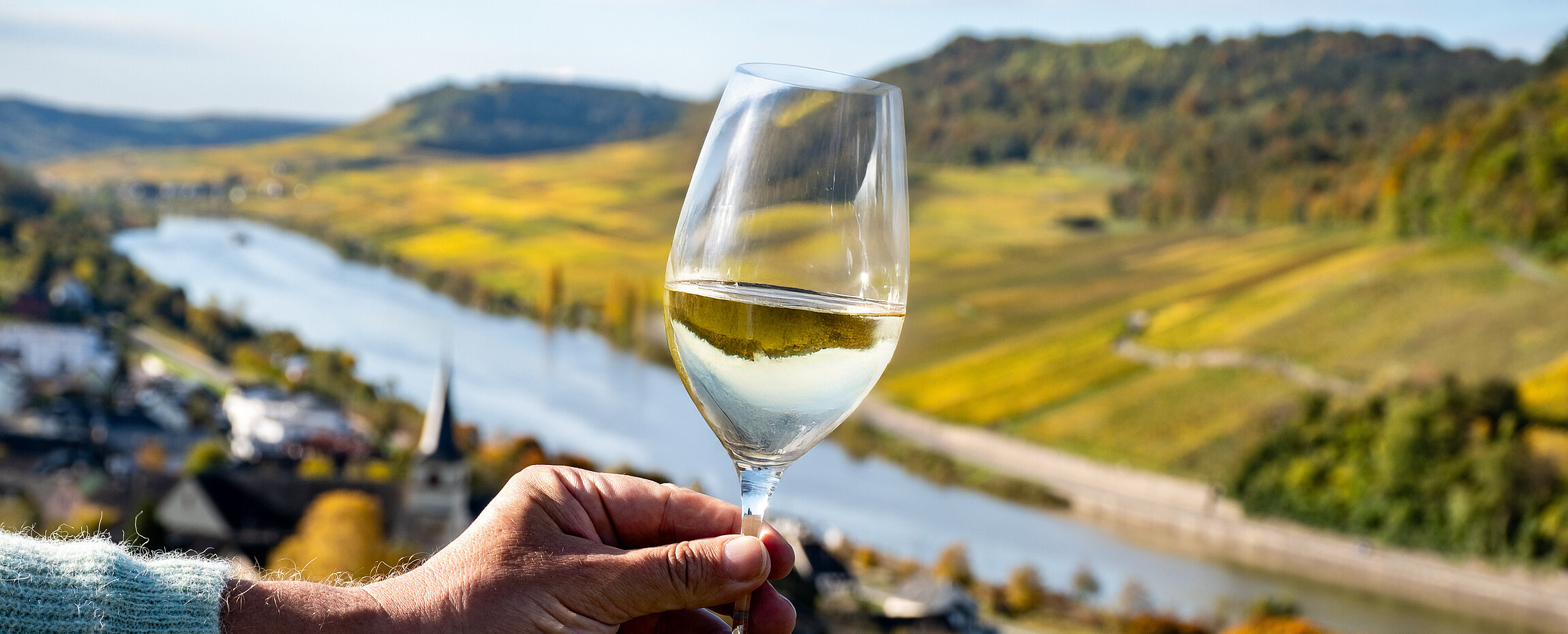 Cremant Weingärten an der Mosel