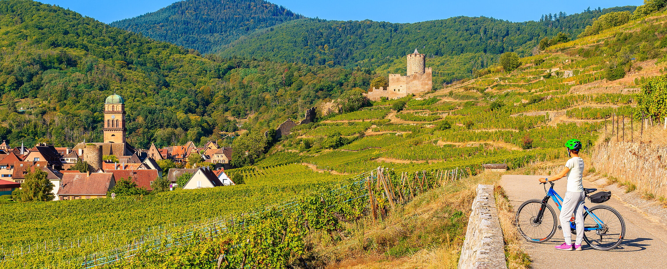 Radlerin an der Weinstraße bei Riquewihr.