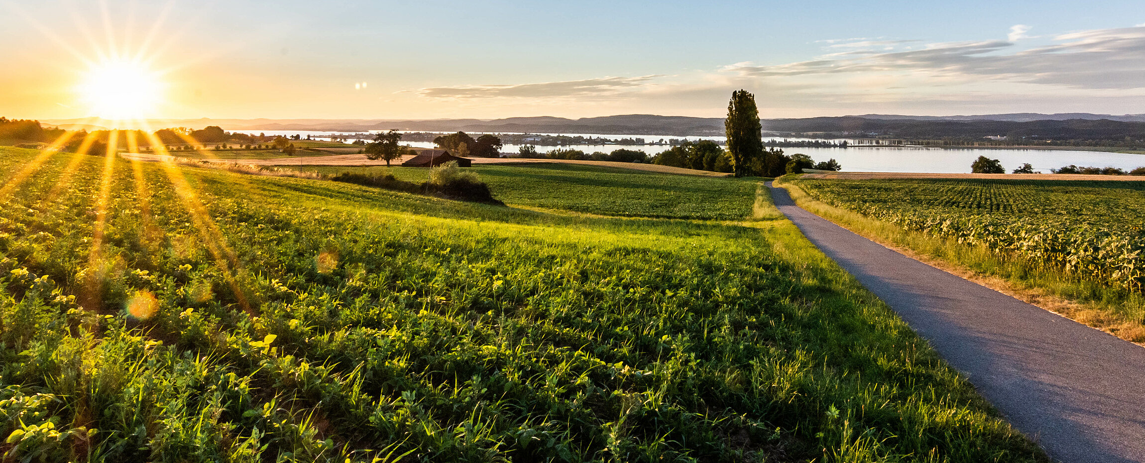 Sonnenuntergang über dem Bodensee.